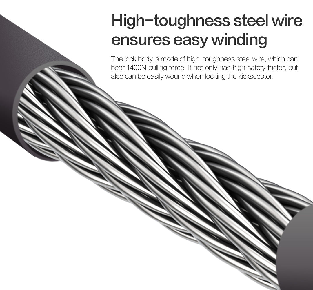 Segway Ninebot Password Lock