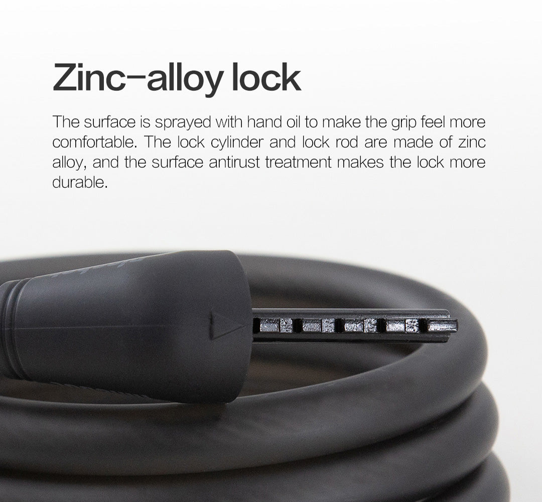 Segway Ninebot Password Lock