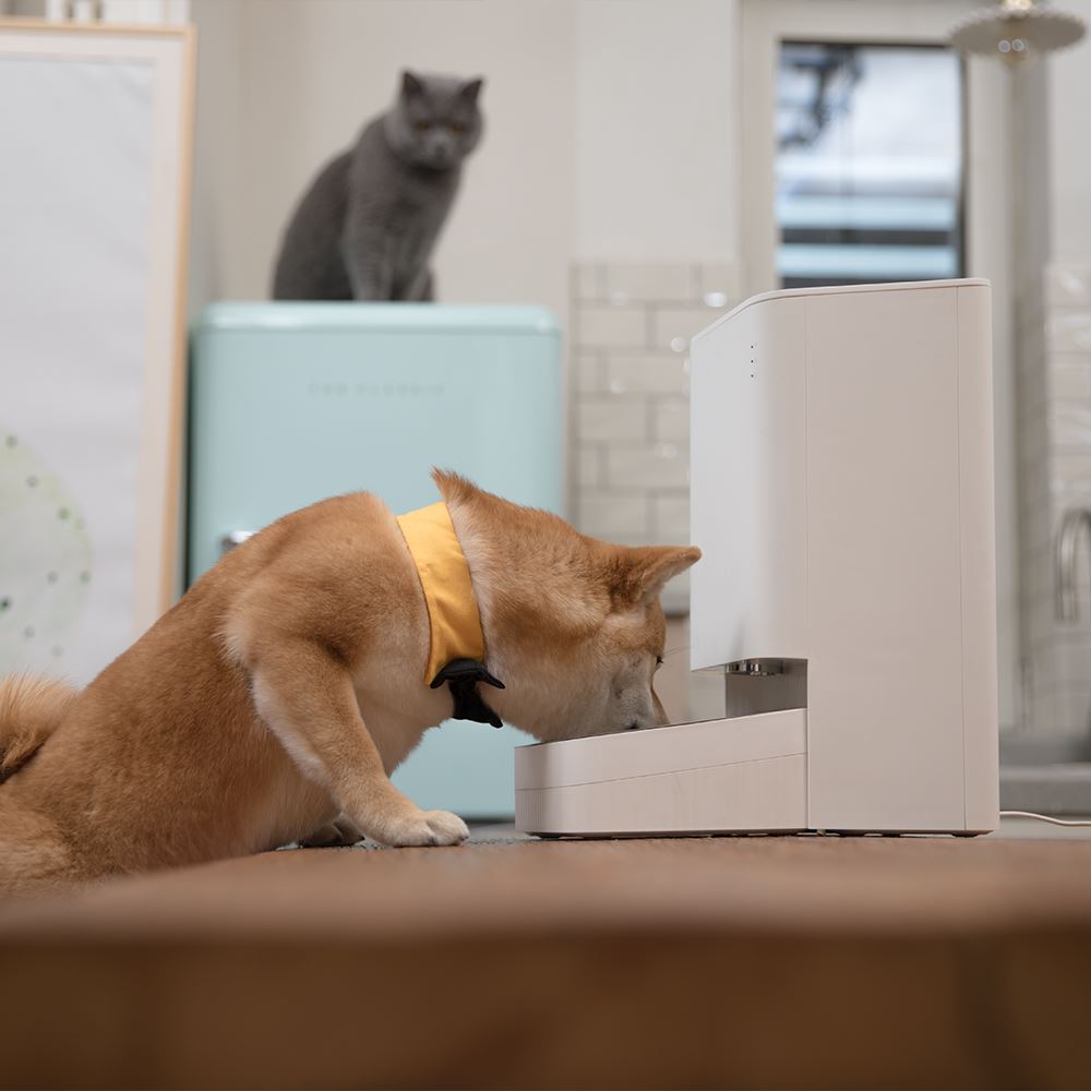 Xiaomi Smart Pet Food Feeder (International Version)