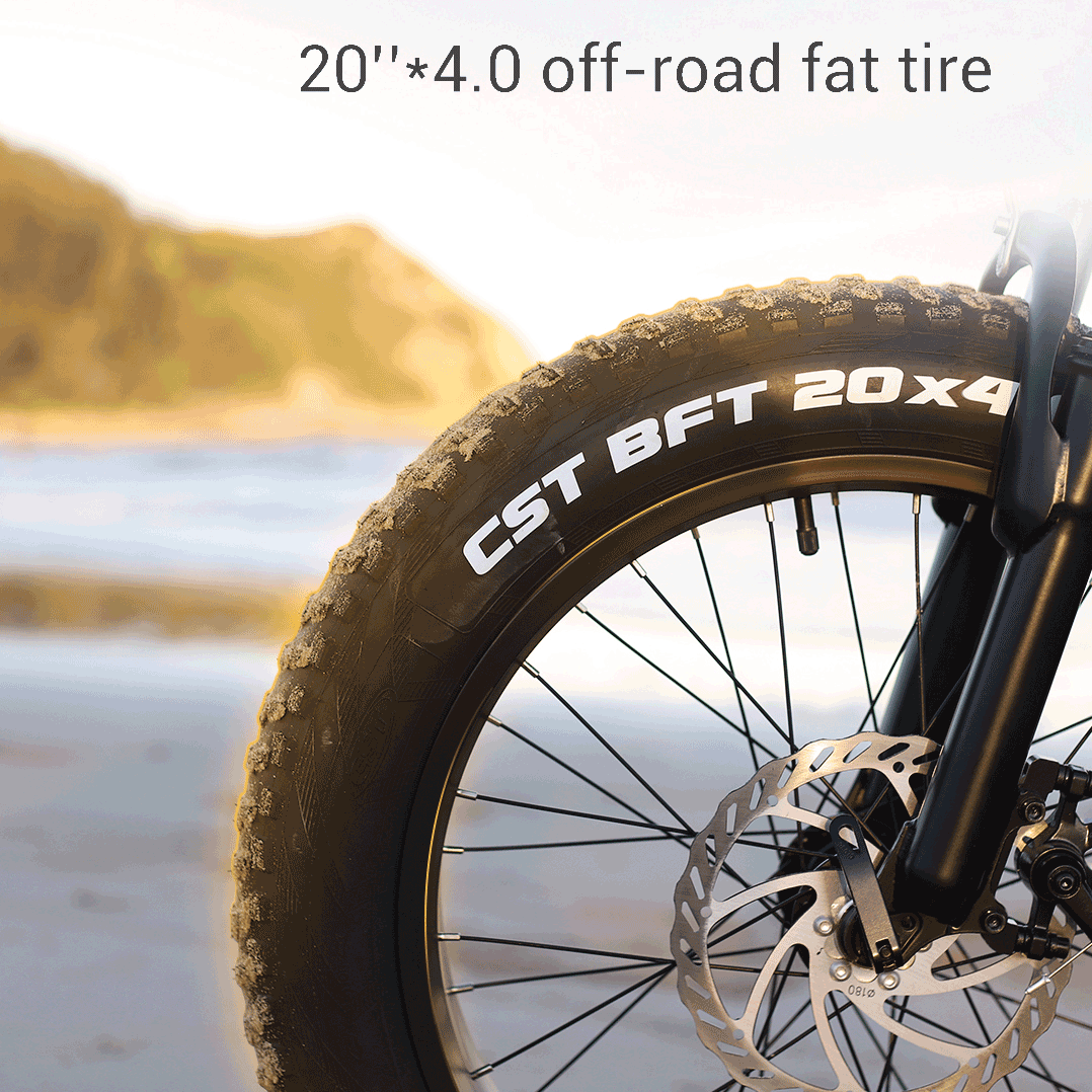 Refurbished Fiido eBike M3