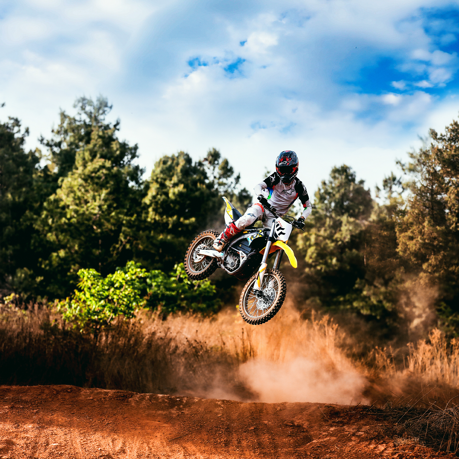 Surron Storm Bee (off road) Grey