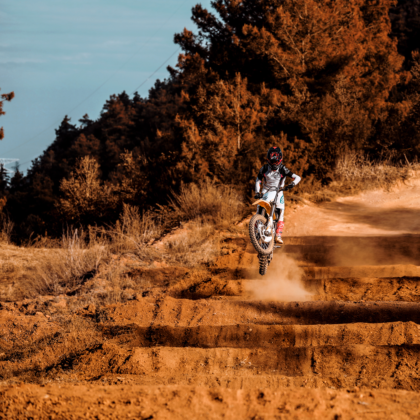 Surron Storm Bee (off road) Grey