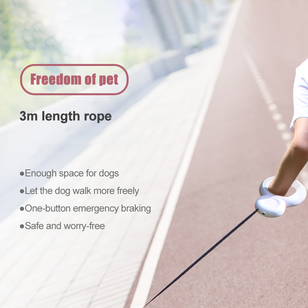 Triple Eight Dog Leash-Grey