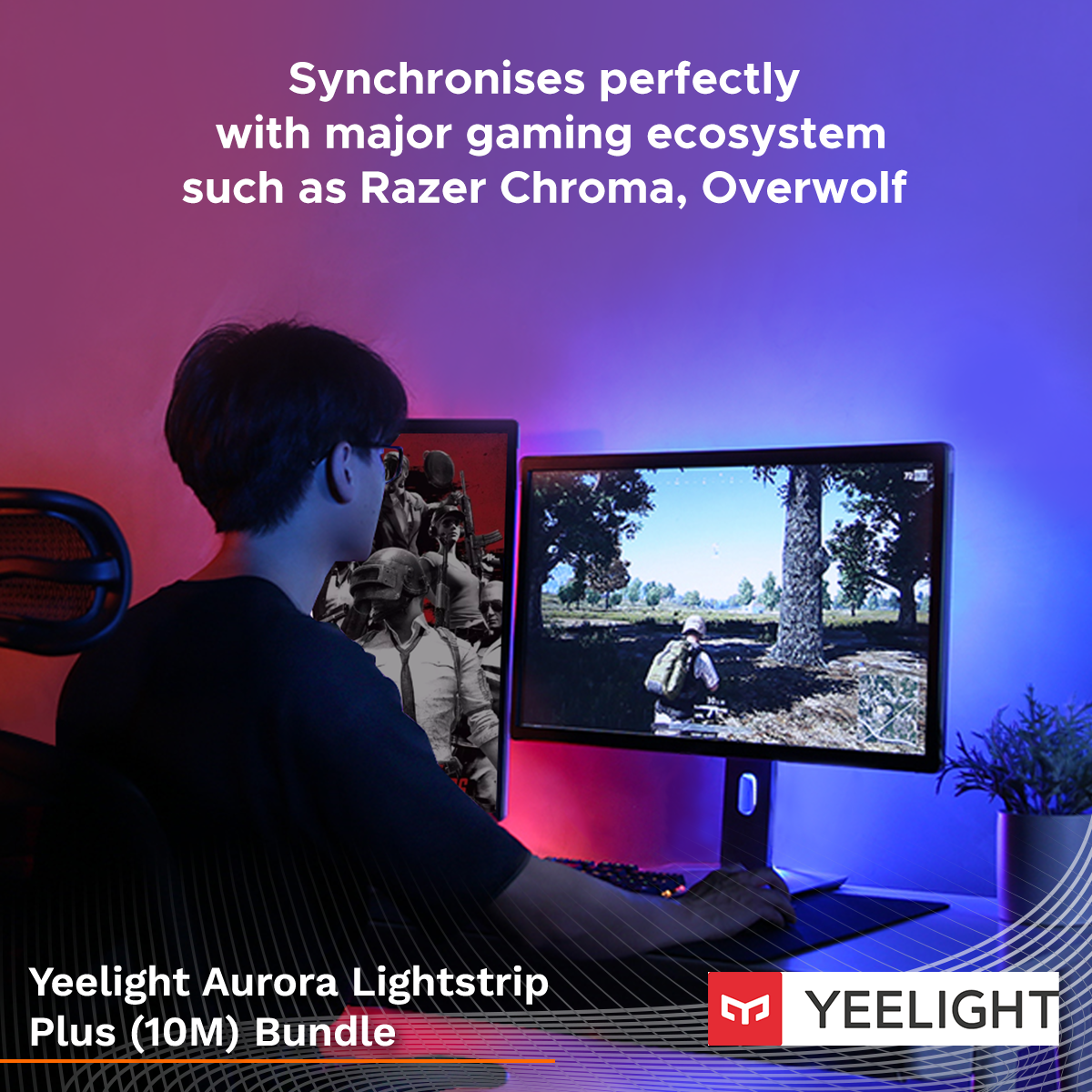 Yeelight Aurora Lightstrip Plus (10M) Bundle