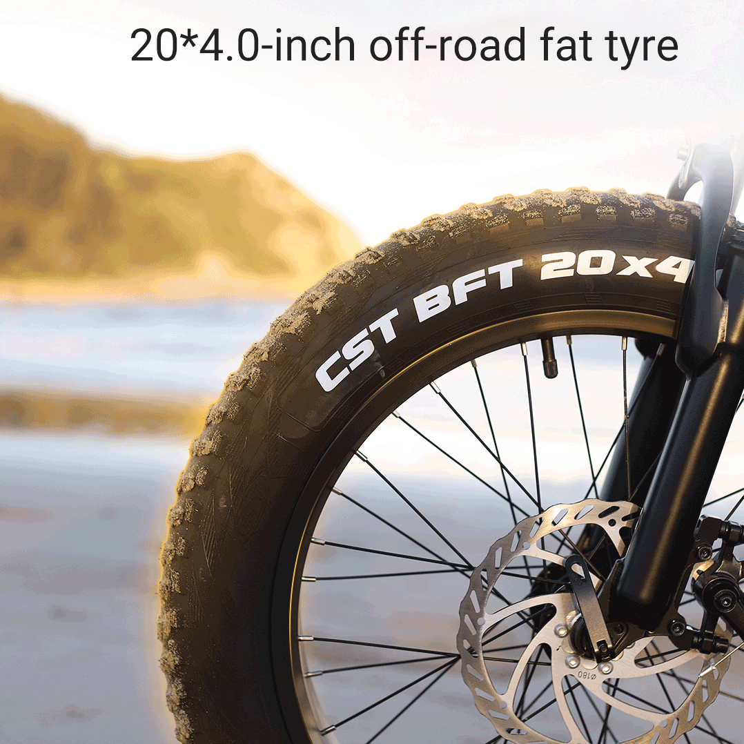 Fiido Folding eBike M3 off Road (Only Deliver to NSW/VIC/ACT/QLD)