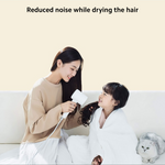 Xiaomi Mi Ionic Hair Dryer H300 (International Version)