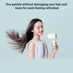 Xiaomi Mi Ionic Hair Dryer H300 (International Version)