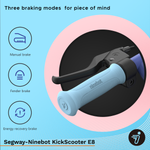 Segway-Ninebot eKickscooter E8