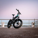 Fiido Folding  eBike M3 off Road (Only Deliver to NSW/VIC/ACT/QLD)